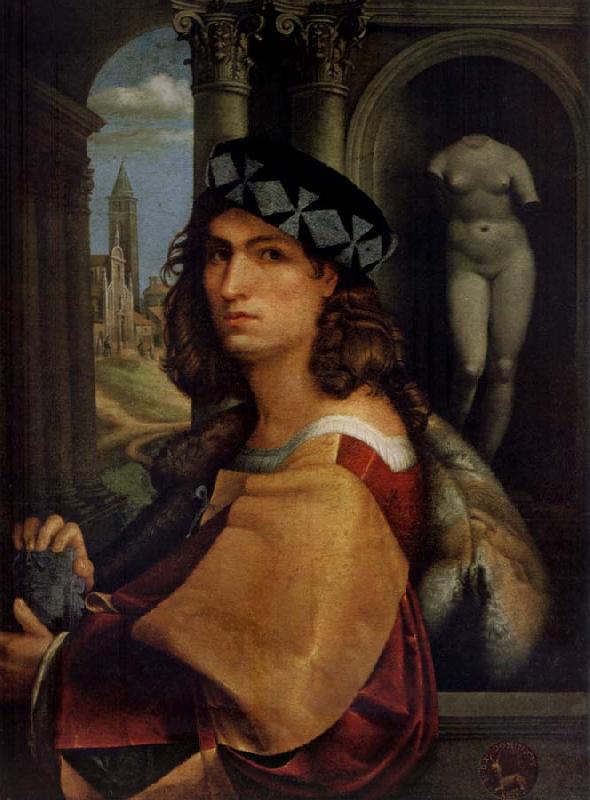 CAPRIOLO, Domenico Portrait of a man France oil painting art